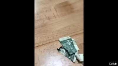 Thankfully it was only a $1 dollar bill