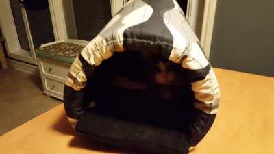 The cLaws of physics 