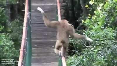 Happy Saturday y’all ❤️