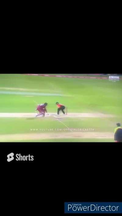 no brains were harmed