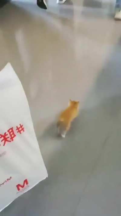 He's late for his class 