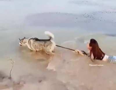 Hey, is that dog dragging you through the mud? I got a great video of it.