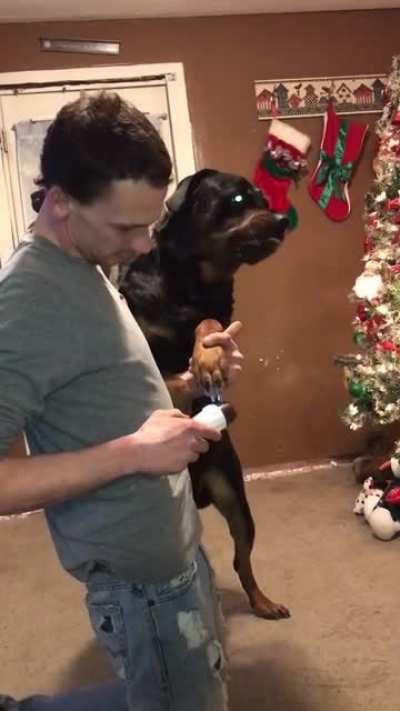 The balls on this man. I think it's the camera making the eyes yellow that really does it