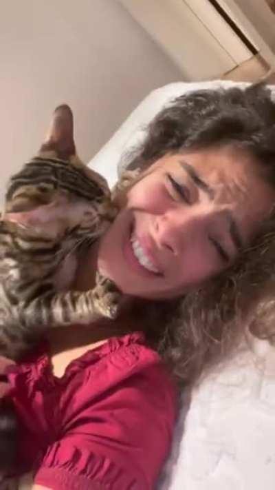 Просто любовь...