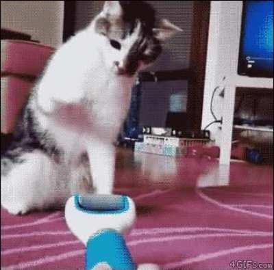 Precision has been deleted