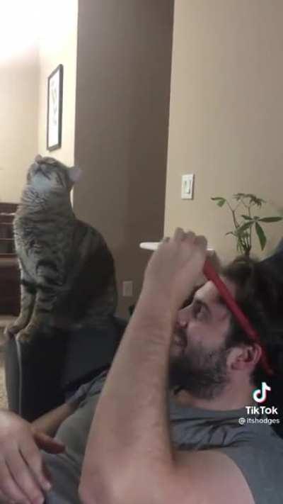 Silly cat doesn’t understand physics