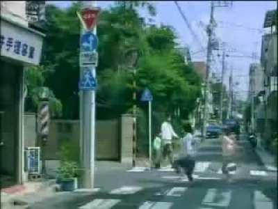 Average Japanese household