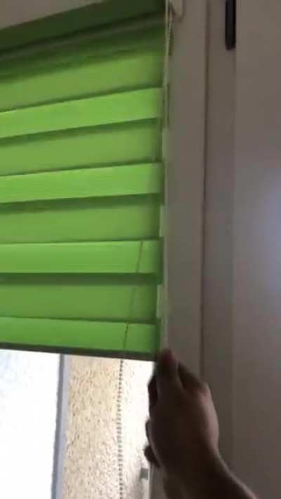 What is this called in German and where I can buy them?