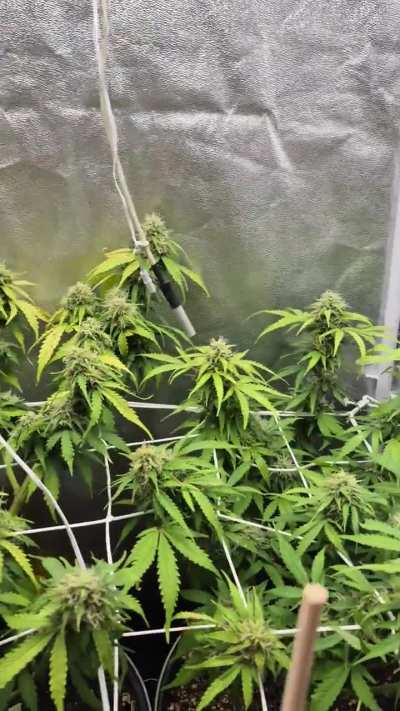 Snart høst tror jeg 😊🌿