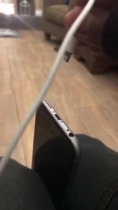 😳😳😳 what da dawg doin?....