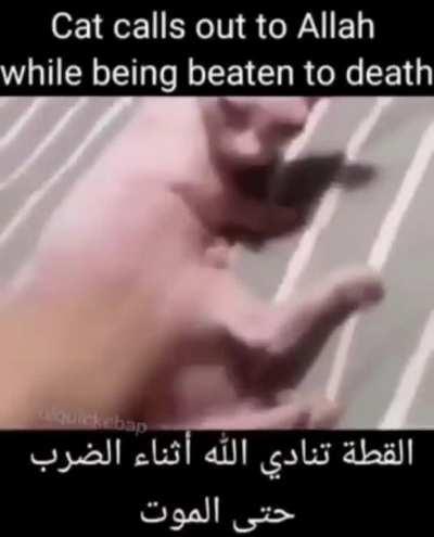 Death of allah bing