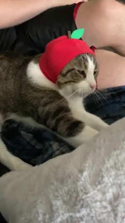 But have you ever seen an apple making bread