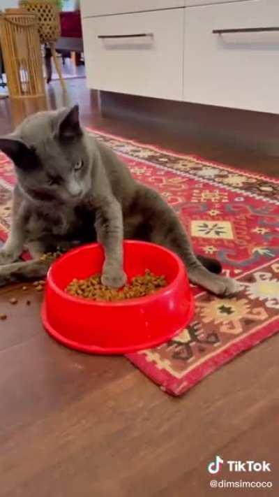 Eating a bowl of Cheetos after a night of drinking