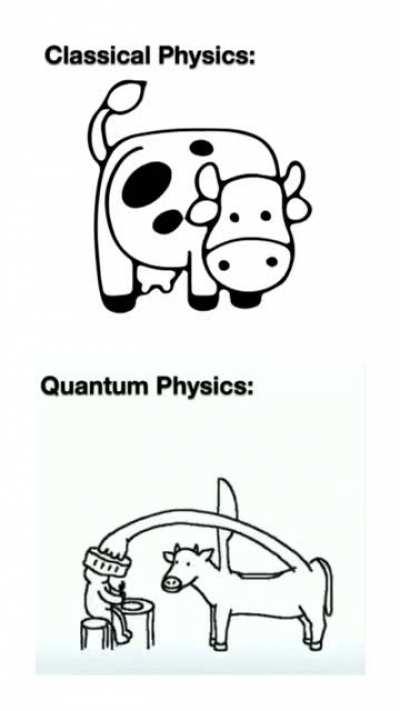 Nobody understand quantum