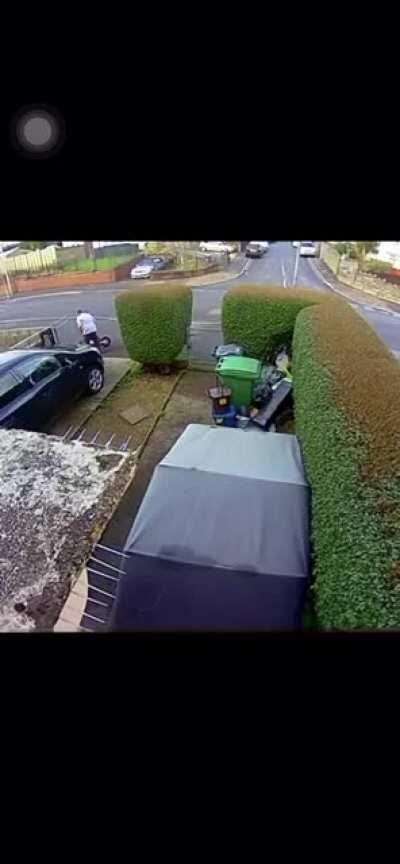 fat ahh lil nigga don’t know where the brakes at😂