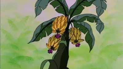 Bearish is a necessity at this point...