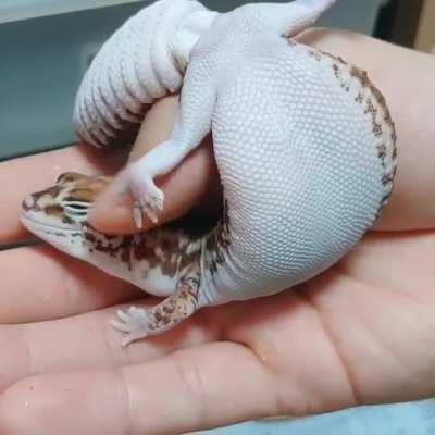 When the head rubs hit just right