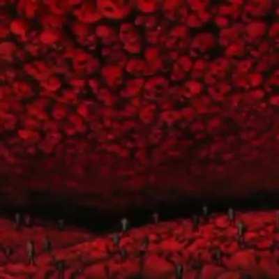 BeelcitosMemes - Video #9376