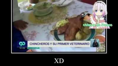 Videos random de mi canal de YouTube