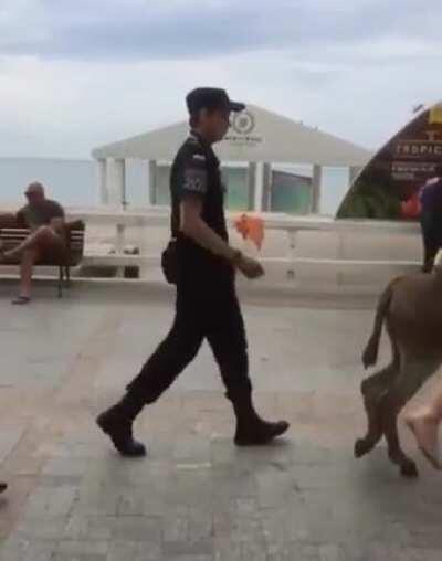 Did you ever party that hard?