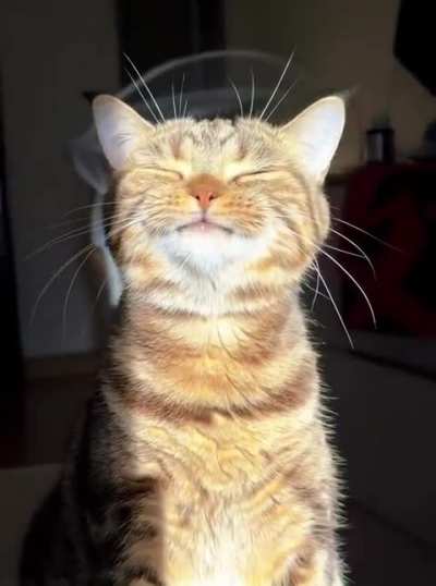 Shines with happiness