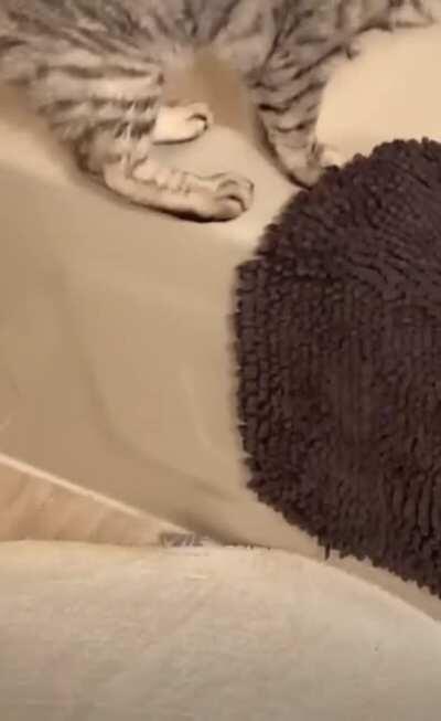 I don't know who started it but I am finishing it