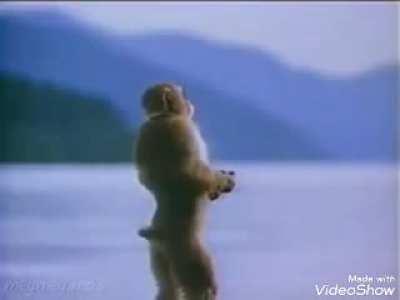 Monke finds inner peace