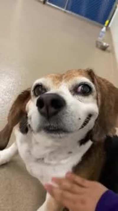 When someone shows affection for me.