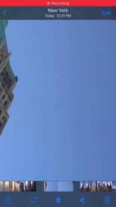 Ok I tried to zoom in with my iPhone but as u see it’s not a drone or a bird