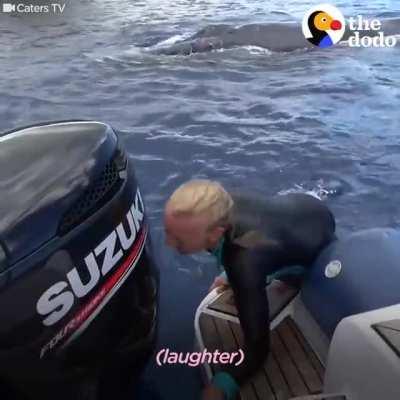 Whale Protects Diver From Shark