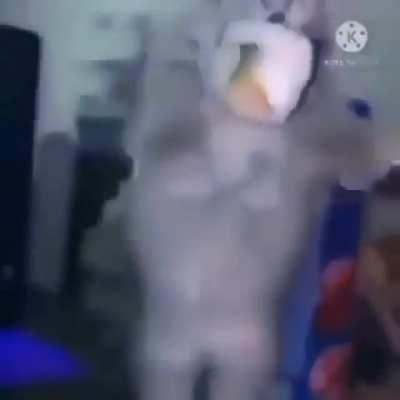 MoaiGreddit - Video #2481