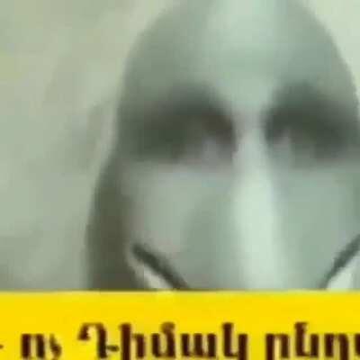 Cursed_dolphin Muzzle