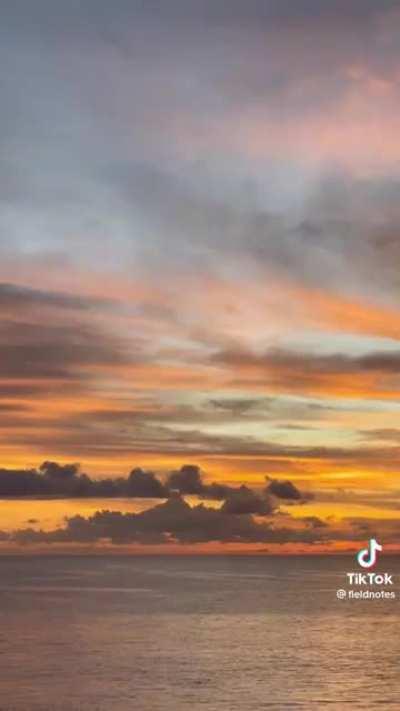 Sunset @fieldnotes