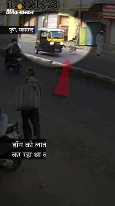 This man drives rashly and decides to kick a dog and gets what he deseves