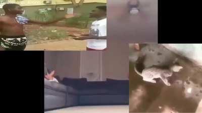 😂FREE WIFI PUNJABI DOWNLOAD الحمار أبله😂