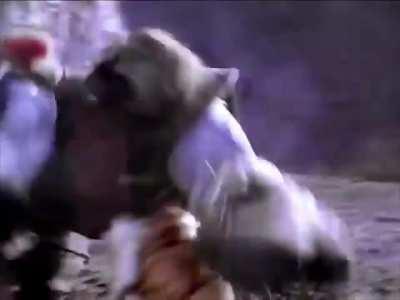 If Zenkaiger locked MMPR’s world instead of Zyuranger: