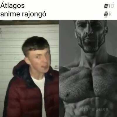 átlagos anime rajongóktól elnézést kérek