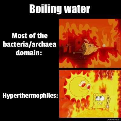 (OC) Ah, that's hot!