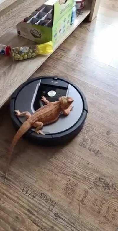 Turn music on for extra effect