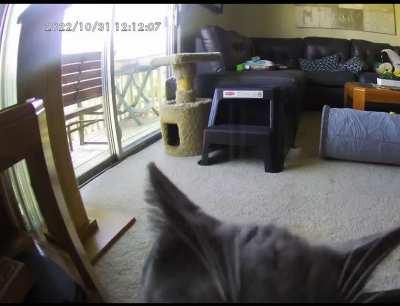 me when i fucking get you