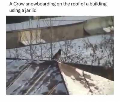 Could be the next Shaun White