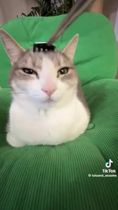 who is this wunk? I want to add him to the discord wunk bot I made