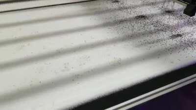 Mfw someone makes a Create farm in real life