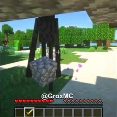 Wtf enderman tactico
