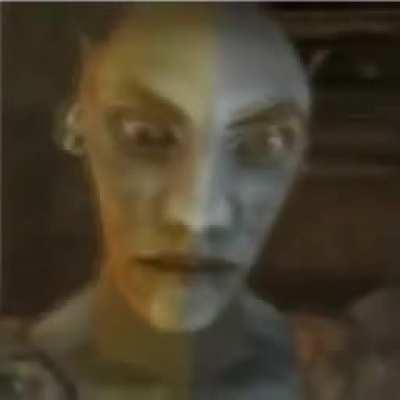 POV: Vehk teaches you how to use Wraithguard