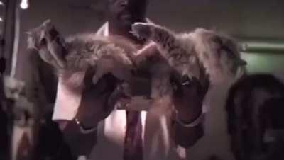 Man has found a new power source 💀