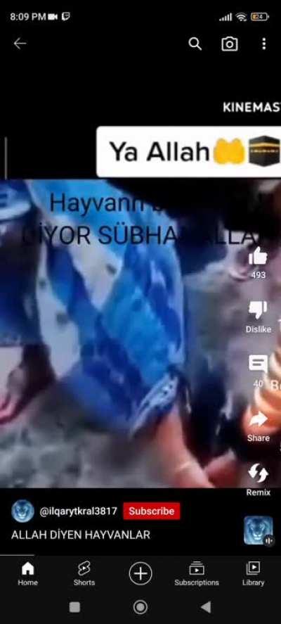 YT SHORTS'TA GEZERKEN BULDUM BU NE AMK ŞDŞDĞDSĞFÖDĞGLRPGLEĞGLEĞÖGOELFPELRPSمرمسميسمرخسمحرمسحبم😵😵💀