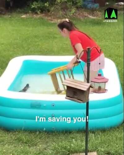 Just a simple squirrel rescue gone wrong.