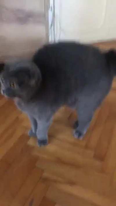 Man I am so startled right now