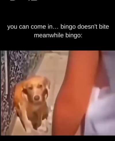 He waited until the guy was inside the gate. Evidence says, bingo is innocent and the guy was a trespasser.